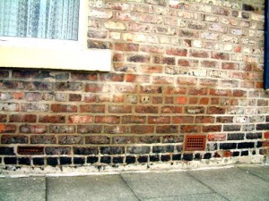 Read more about the article Penetrating damp