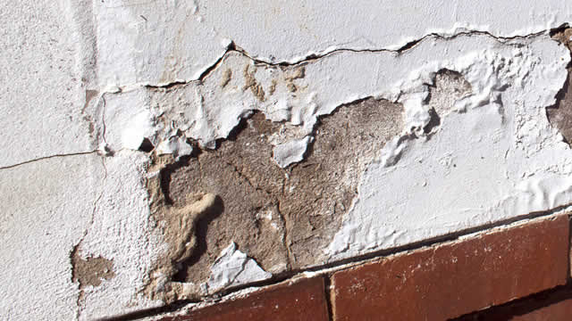 Read more about the article Identifying damp