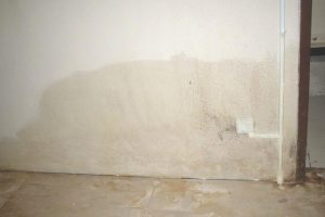 Read more about the article Damp Walls: What’s happening?
