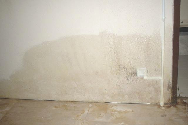 You are currently viewing Damp Walls: What’s happening?