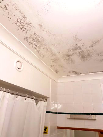 Read more about the article Avoid damp in the bathroom