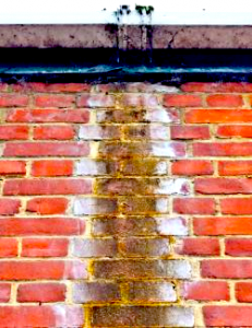 Read more about the article How to identify a damp problem